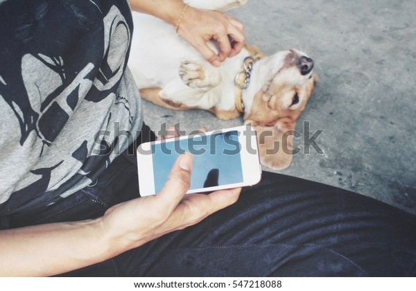 Woman Using Smart Phone Dog Stock Photo Edit Now 547218088