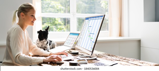 Woman Using Time Sheet Report On Computer With Dog