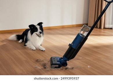 A woman is using a vacuum cleaner to clean a pet's room, dirty carpet and pet hair