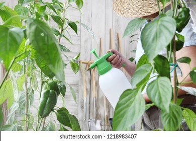 Organic Pesticides Images Stock Photos Vectors Shutterstock