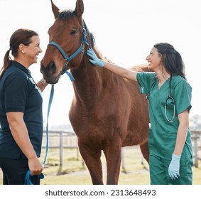 Woman, vet and check horse health on farm, veterinary medicine and care for sick animal. Agriculture, farming and medical expert working in animals healthcare, wellness or veterinarian for pets - Powered by Shutterstock