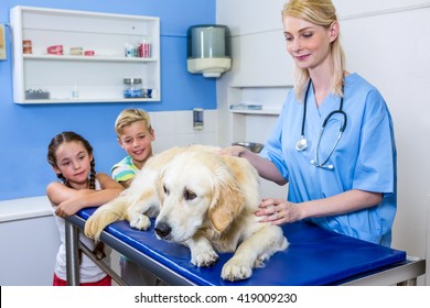 A Woman Vet And Children Looking A Dog On The Operating Table