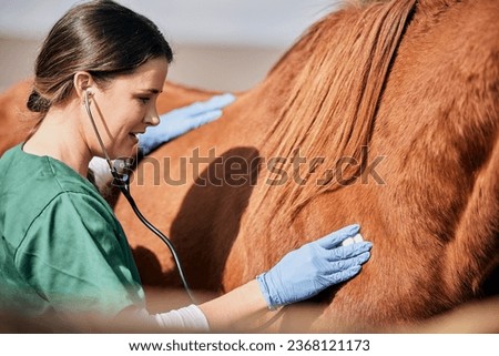 Woman vet, stethoscope and horse farm with wellness, healthcare and support with animal in countryside. Nurse, trust and helping with heart rate and monitoring outdoor with a smile from nursing
