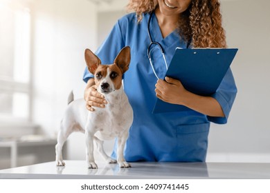 Woman veterinarian with friendly smile secures small dog with one hand while holding clipboard, preparing for routine check-up in the clinic - Powered by Shutterstock