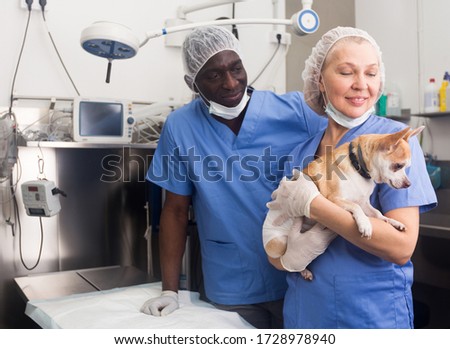 Woman  veterinarian holding small dog in vet clinic, man assistant on background