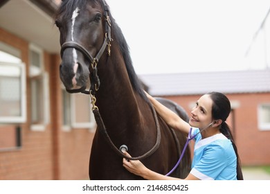 Woman veterinarian listens to horse heartbeat with stethoscope. Heart problems in sport horses concept