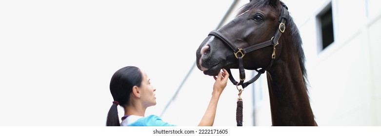 Woman veterinarian medical examination of black horse - Powered by Shutterstock