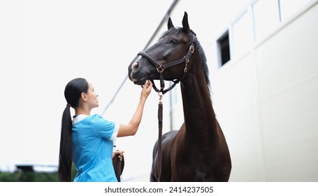 Woman veterinarian medical examination of black horse. Treatment of disease in horses concept - Powered by Shutterstock