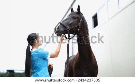 Woman veterinarian medical examination of black horse. Treatment of disease in horses concept
