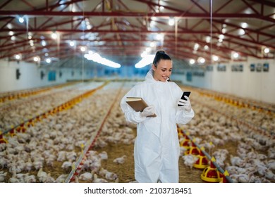 Woman Veterinarian Using Mobile Phone On Chicken Farm