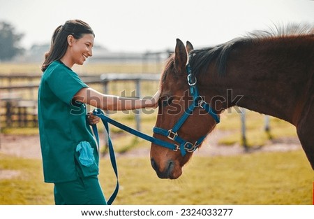 Woman veterinary, horse and medical care outdoor for health and wellness in the countryside. Happy doctor, professional nurse or vet person with an animal for help, touch and healthcare at a ranch
