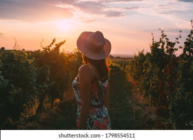 Woman in vineyard in sunset adult woman in dress and hat walking through vineyard in sunset in summer in Vrsac vineyards in Serbia