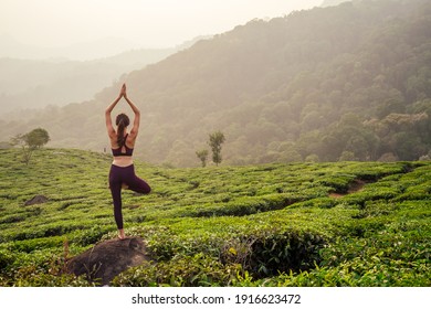 Woman In Violet Cloth Doing Yoga On Tea Plantations In Munnar Hill Kerala India