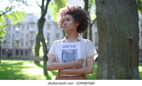 Woman Volunteer Holding Posters With Missing Cat Picture, Animal Rescue, Shelter