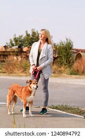 Woman In Walk With His Shetland Sheepdog Dog On Leash. Dog Walker Standing, Posing In Front Of Camera. Portrait Of Owner And Rough Collie Beautiful Dog Enjoys, Resting, Having Fun Together On Street.