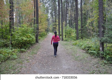 Woman walking alone in the trail in the woods - Shutterstock ID 718333036