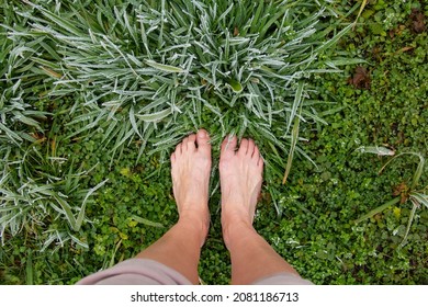 Woman Walking Barefoot On Frozen Grass Covered With Frost, Hardening The Body. Rejuvenation Of The Body. Energy Of The Earth 