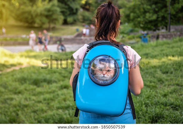 woman\
walking with a cat in special blue animal\
backpack