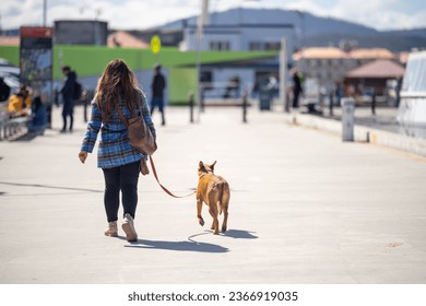 woman walking a dog by a wharf on a leash on a sunny day - Shutterstock ID 2366919035