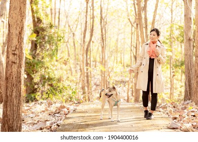 A Woman Walking A Dog In The Woods