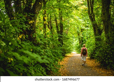 Woman walking in a Finland forest
