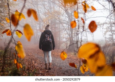 Frau geht am Herbstmorgen im Nebel spazieren. Touristenwandern im Wald. Abenteuer und aktiver Lebensstil in der Natur