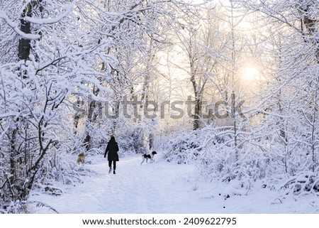 Woman walking her dogs in the snow on the Boise River greenbelt in January