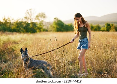 Woman Walking Her Husky Dog And Smiling Happily With Teeth On A Nature Walk On The Grass In The Autumn Sunset, Lifestyle Dog Friend