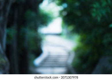 Woman Walking In The Mystic Magic Deep Forest