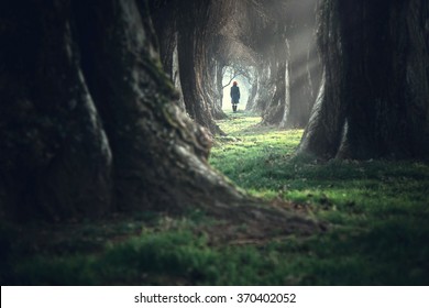 Woman Walking In The Mystic Magic Deep Forest