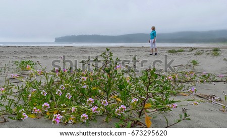 Woman walking on beach in Olympic National Park. Sand Verbena flowers on the beach.  Olympic Peninsula. Port Angeles. La Push.  Washington. United States.