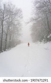 Woman Walking On Blue Ridge Parkway In The Snow Surrounded By Forest On The Pathway.