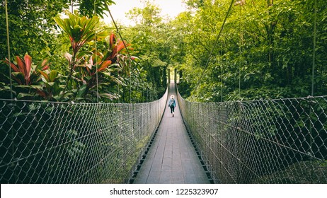 Woman Walking On The Bridge In The Jungle Of Costa Rica.