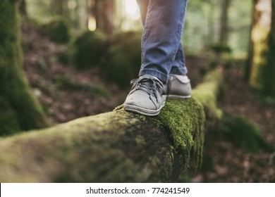 Woman walking on a log in the forest and balancing: physical exercise, healthy lifestyle and harmony concept - Shutterstock ID 774241549