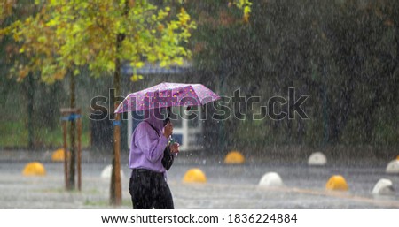 Similar – Under my umbrella Mensch