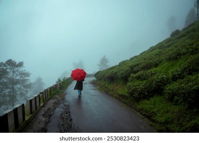 A woman is walking on the road in the foggy tea garden in Darjeeling. Woman having a red umbrella in monsoon weather. Lifestyle photo. - Powered by Shutterstock