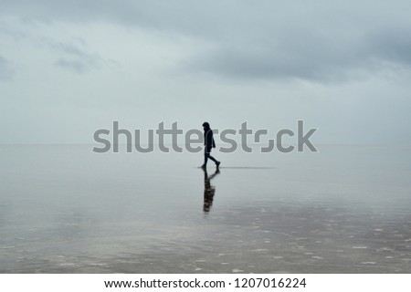 Similar – Image, Stock Photo An ice mouse Well-being