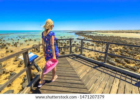 Woman walking on wooden jetty of the Stromatolites Hamelin Pool. Marine Reserve, Shark Bay, Western Australia. following woman in Australian travel destination.
