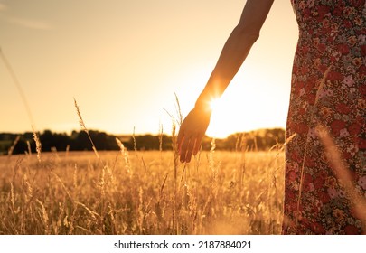 Woman walking in an open field at sunset touching the grass with her hand. Freedom in nature, and inner happiness concept.  - Powered by Shutterstock