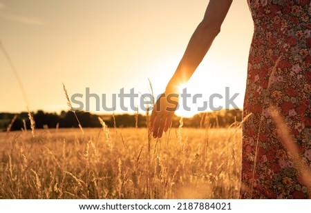 Woman walking in an open field at sunset touching the grass with her hand. Freedom in nature, and inner happiness concept. 