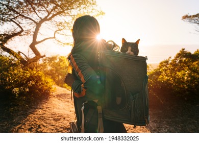 Woman Walking Outdoors In Nature With Her Lovely Cat In Backpack Carrier At Sunset. Funny Cat Looks Out Of The Portable And Foldable Pet Backpack Or Carrier Bag. Travel With Pets. High Quality Photo