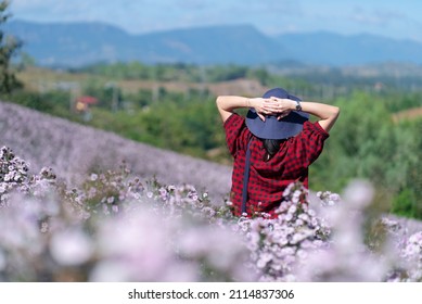 Woman Walking In Pink Amaranth Field In Summer