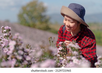 Woman Walking In Pink Amaranth Field In Summer