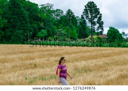 Similar – Image, Stock Photo Dramatic sky Harmonious