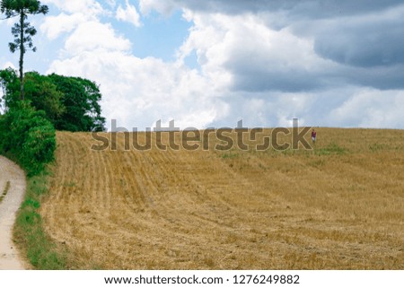 Similar – Image, Stock Photo Dramatic sky Harmonious