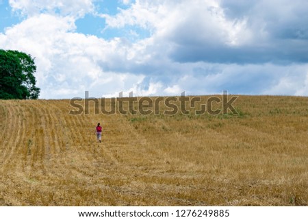 Similar – Image, Stock Photo Dramatic sky Harmonious