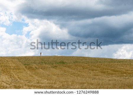 Similar – Image, Stock Photo Dramatic sky Harmonious