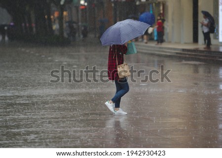 Similar – Under my umbrella Mensch