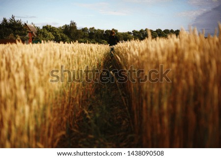 Similar – Woman alone in a field of wheat