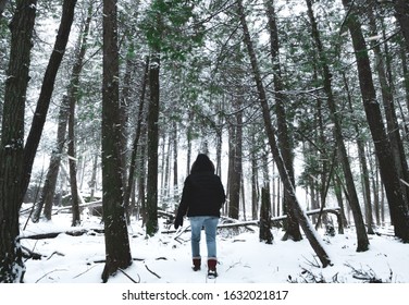 A Woman Walking Through A Blizzard In The Forest. Snow Flying Towards POV. Have No Fear, You're Stronger Than You Know, Weather The Storm.